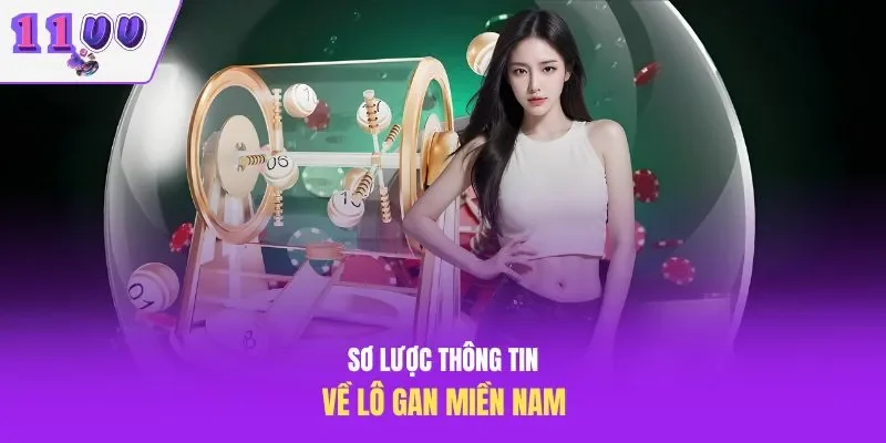 Sơ lược thông tin về lô gan miền Nam